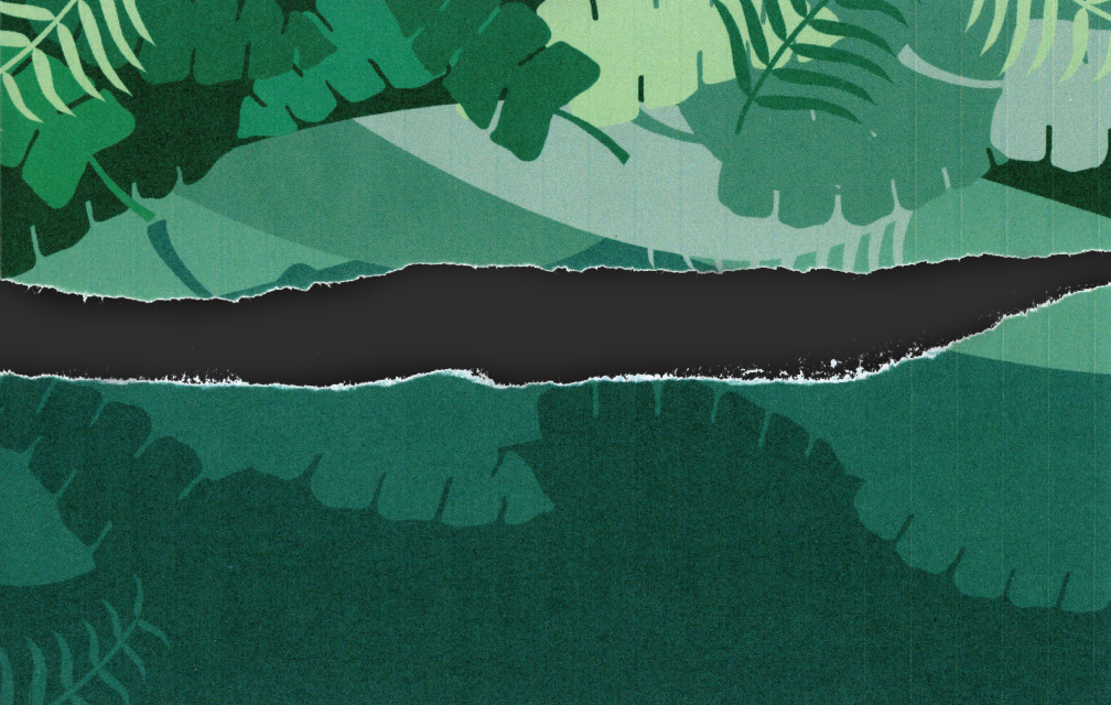 Sud Tropical process green 2