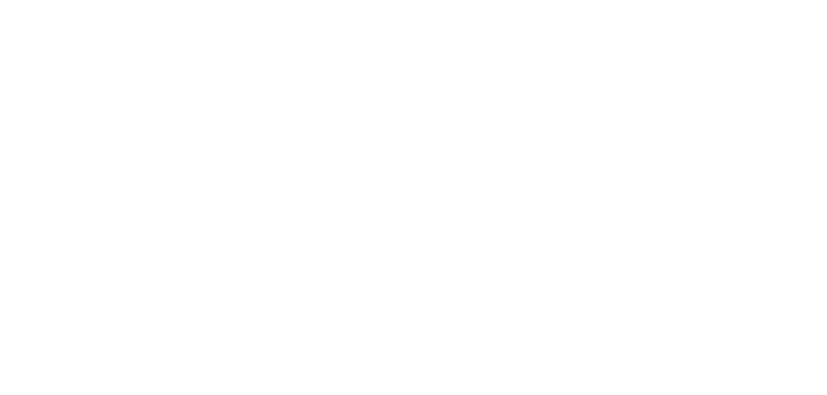 Vegan, Sulfate Free, etc..